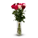 kytice ekvádorských růží